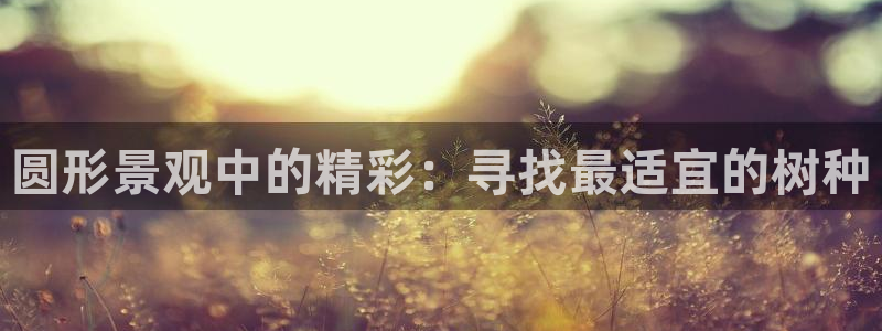 新宝gg怎样代理