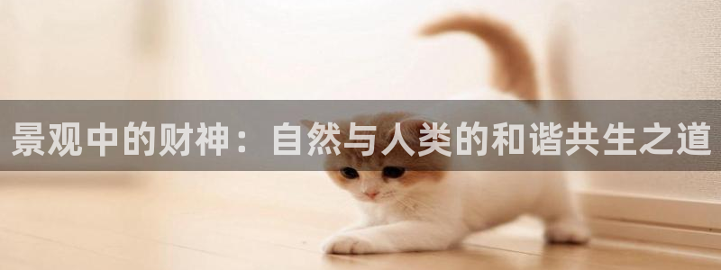 新宝GG专业团队