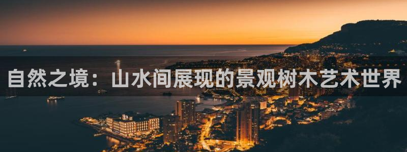新宝gg找回账号
