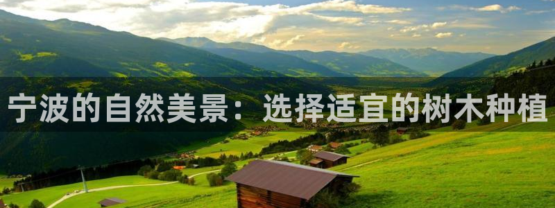 新宝GG专业团队