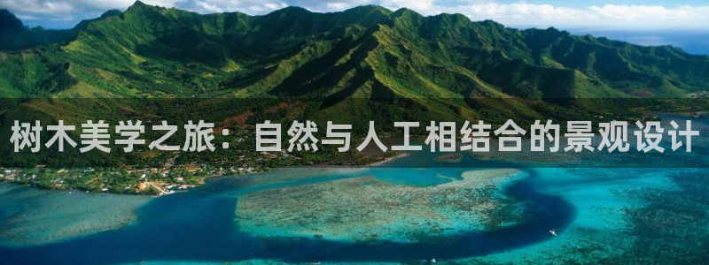 新宝gg下载官网下载：树木美学之旅：自然与人工相结合的景观设计