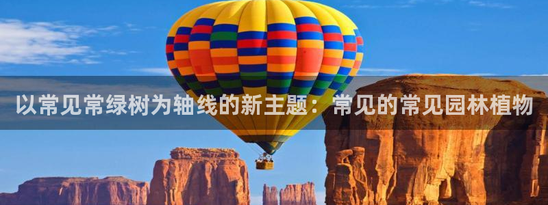 新宝gg挂机app