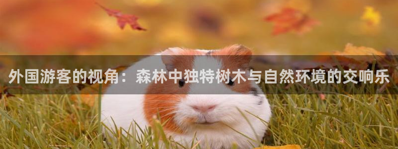 gg新宝时时彩
