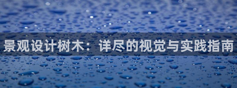 新宝gg 首页：景观设计树木：详尽的视觉与实践指南