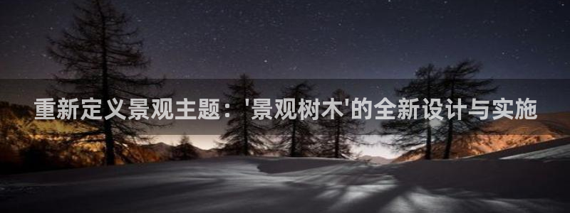 新宝gg   创造奇迹