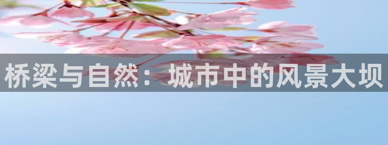 新宝gg手机登录：桥梁与自然：城市中的风景大坝