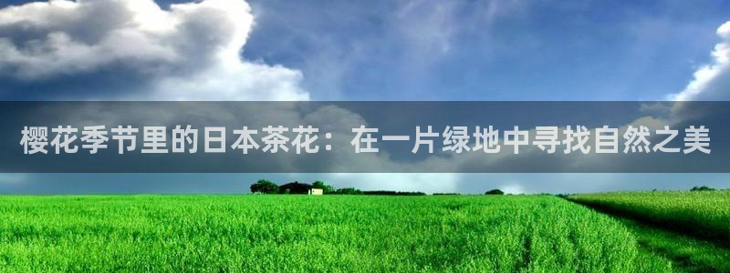 新宝GG扩展78778：樱花季节里的日本茶花：在一片绿地中寻找自然之美