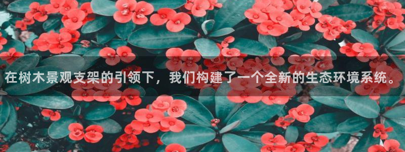 gg新宝gg