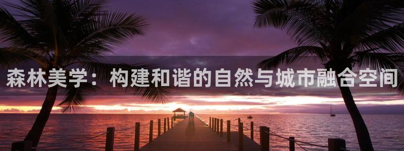 新宝GG于六七五一38