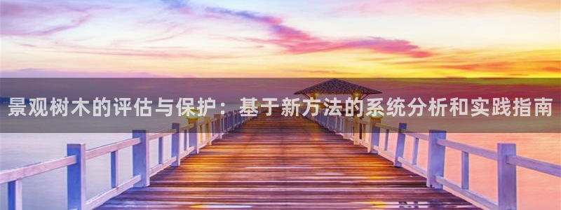 新宝gg   创造奇迹