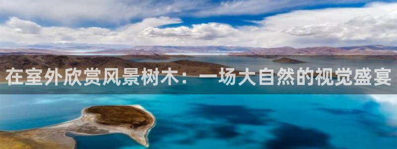 新宝gg类似