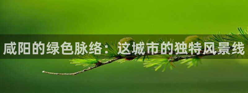 旧版新宝GG