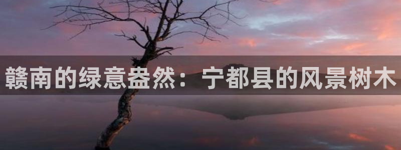 新宝gg合法吗
