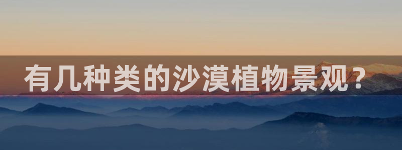 新宝gg一创造奇迹