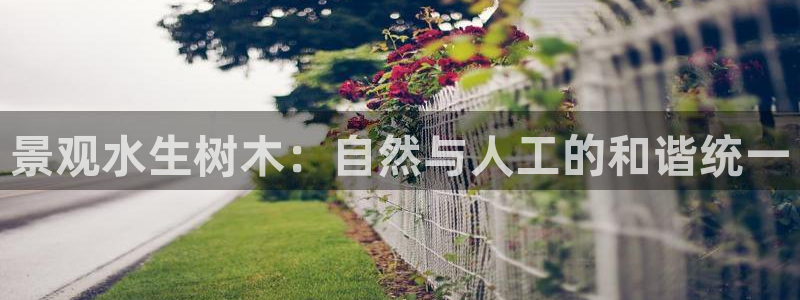 新宝gg维护