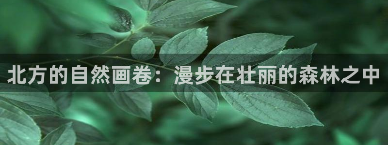 新宝gg奖金