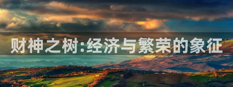 新宝gg奇迹