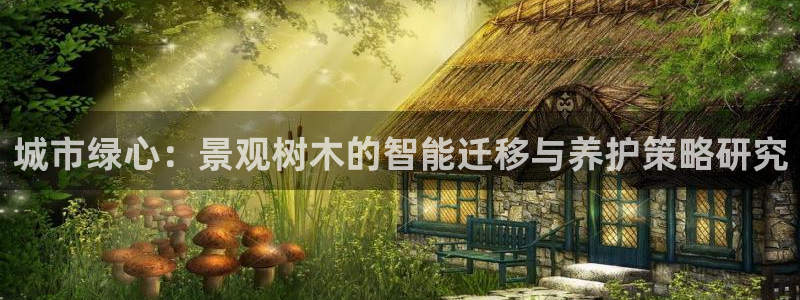 新宝gg手机助手