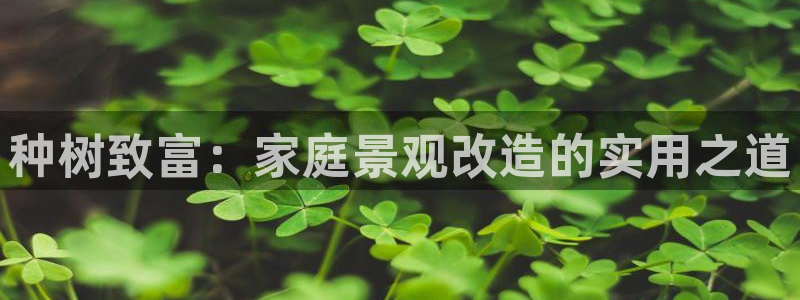 新宝gg代理：种树致富：家庭景观改造的实用之道