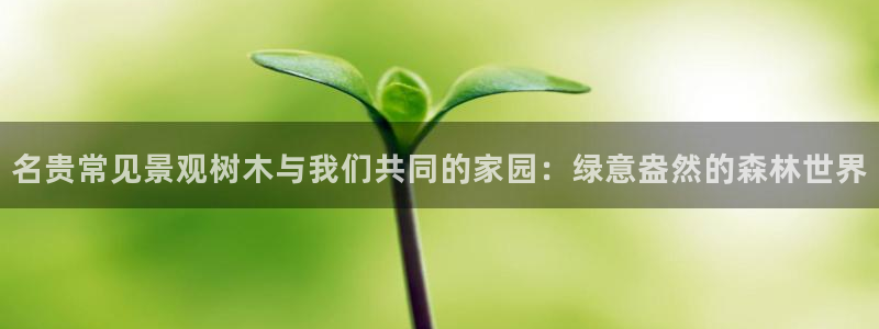 新宝gg娱乐：名贵常见景观树木与我们共同的家园：绿意盎然的森林世界