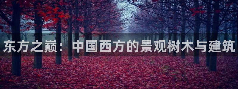 新宝GG娱乐下载