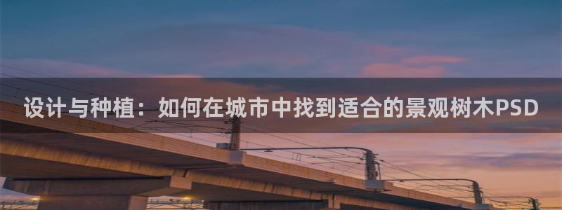 新宝GG专业团队