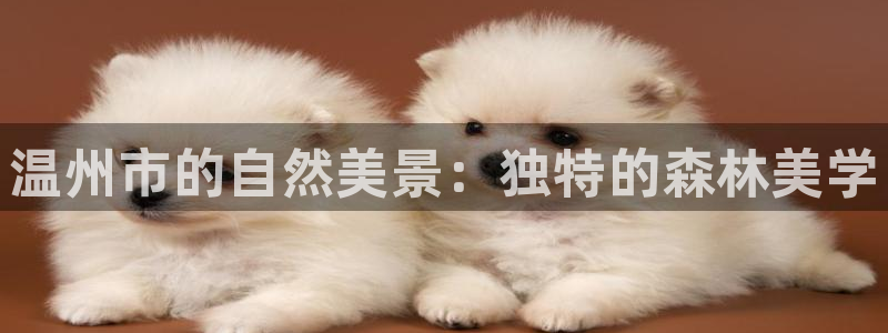 新宝gg黑平台