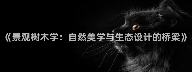 新宝gg客服电话