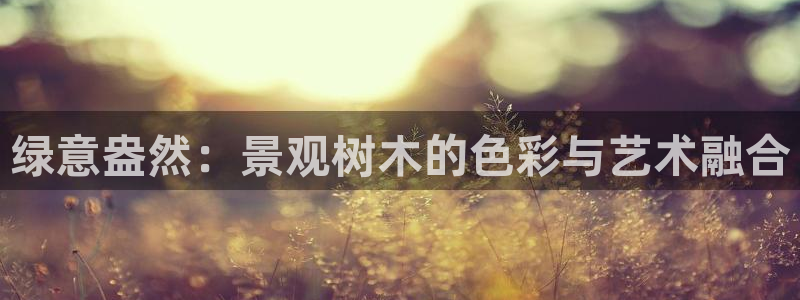 新宝gg 创造奇迹