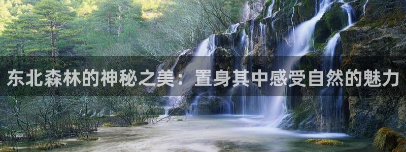 新宝gg论坛