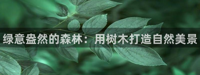 新宝新宝gg开户流程