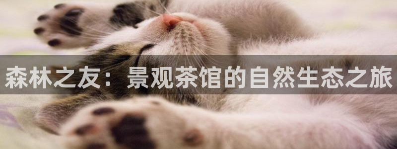 新宝GG网址新宝2