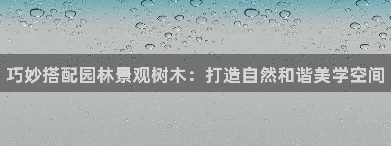 新宝gg用哪个浏览器