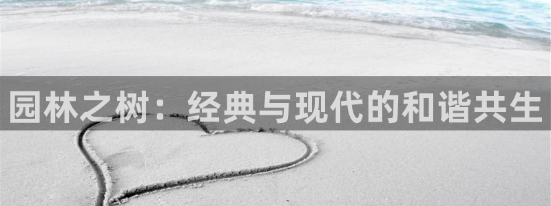 新宝gg如何做到总代理