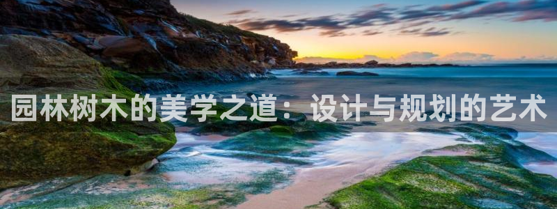 新宝gg创造奇迹