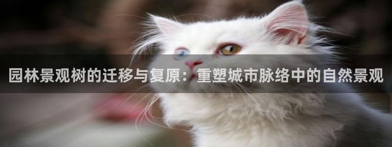 新宝gg作弊：园林景观树的迁移与复原：重塑城市脉络中的自然景观
