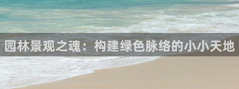 新宝GG—创造奇迹