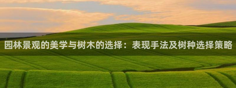 新宝gg客户端下载