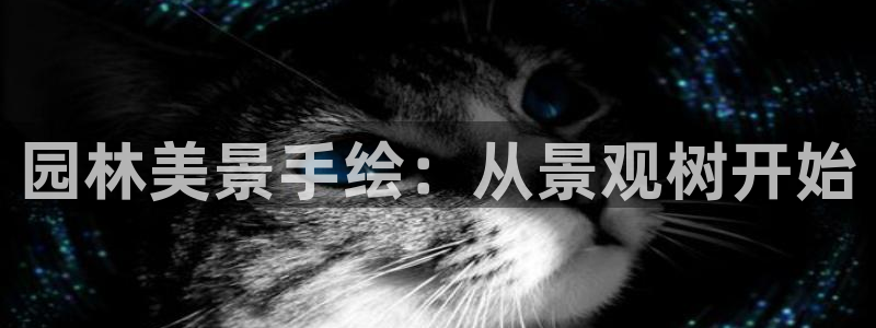 新宝gg时时彩