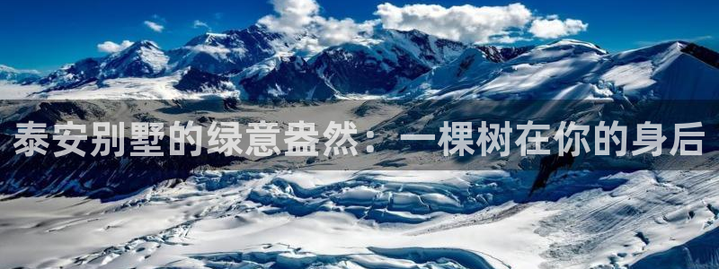 创造奇迹 新宝gg