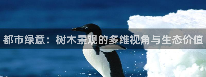新宝gg总部