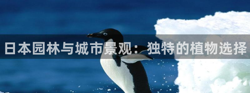 新宝gg平台下载安装：日本园林与城市景观：独特的植物选择