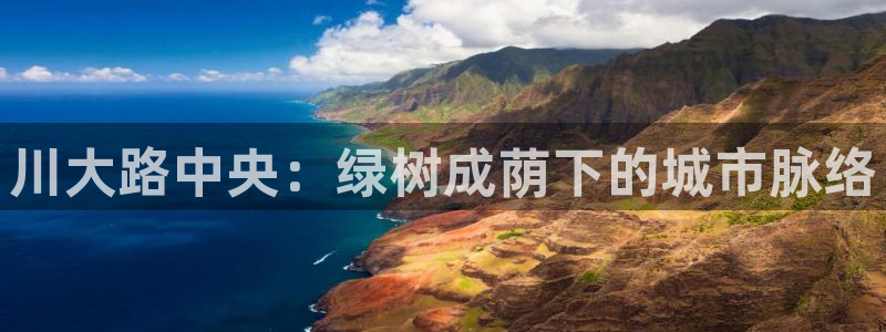 新宝gg 内部 8：川大路中央：绿树成荫下的城市脉络