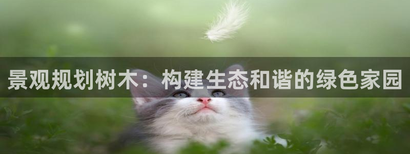 新宝gg开奖结果可信吗