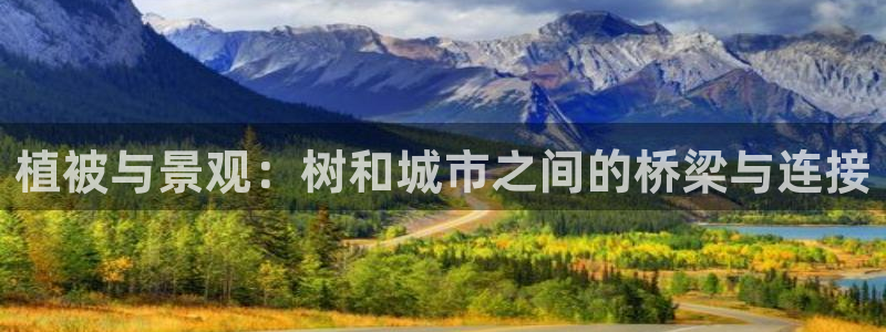 新宝gg平台下载安装