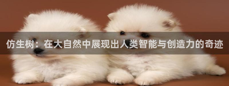 新宝6娱乐新宝gg