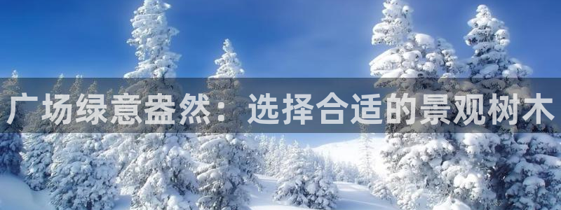 新宝gg娱乐上皇巢网