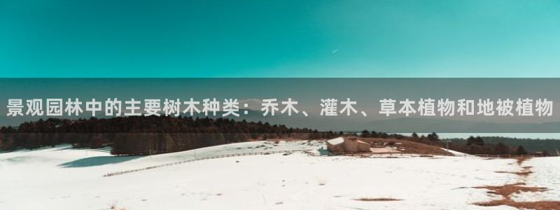 新宝GG—创造奇迹