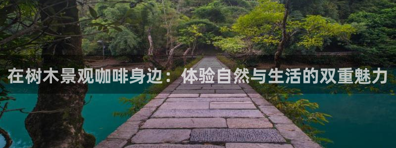 新宝gg和新宝123