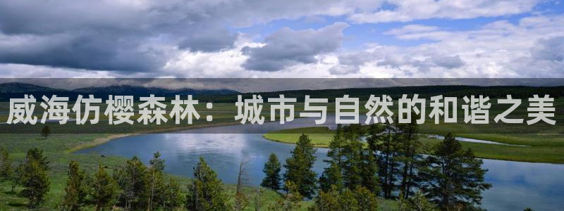 新宝gg高频彩票